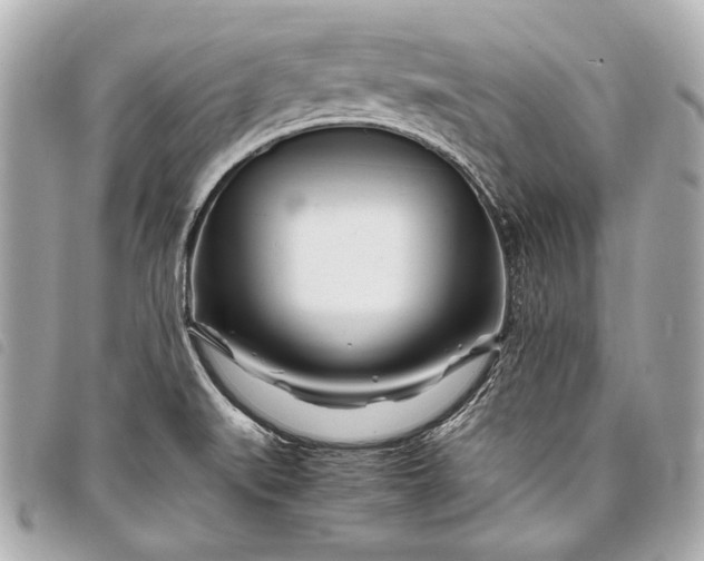 X0000098081519200804181145