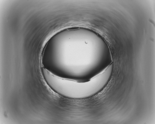 X0000098081520200804181145