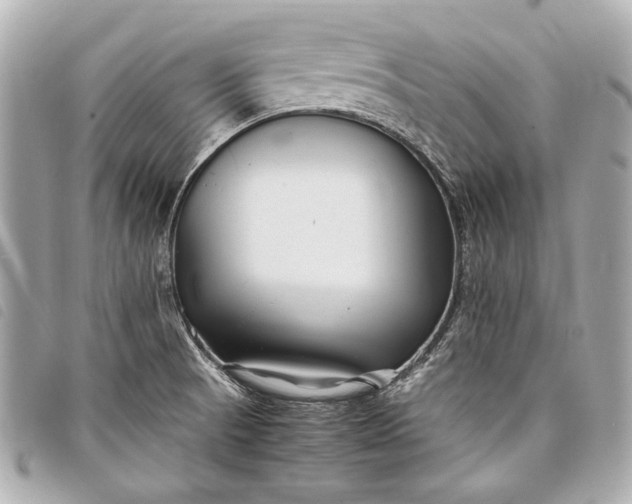 X0000098081521200804181145