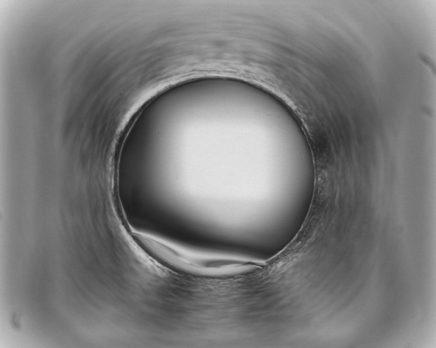 X0000098081523200804181145