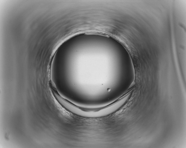 X0000098081524200804181145