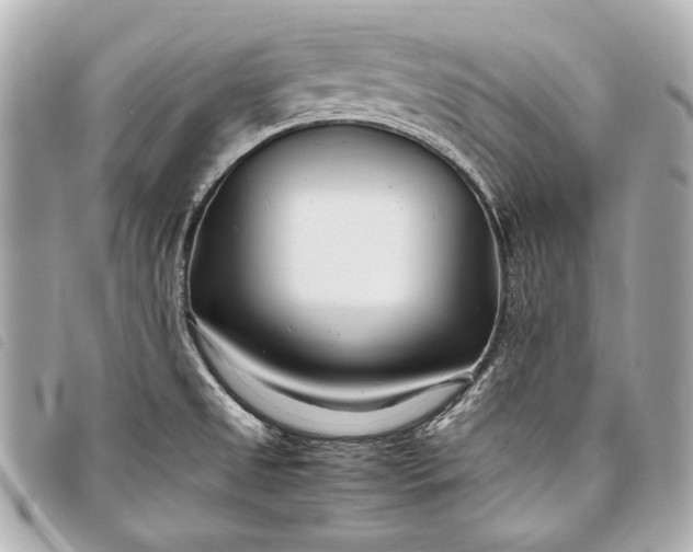 X0000098081525200804181146