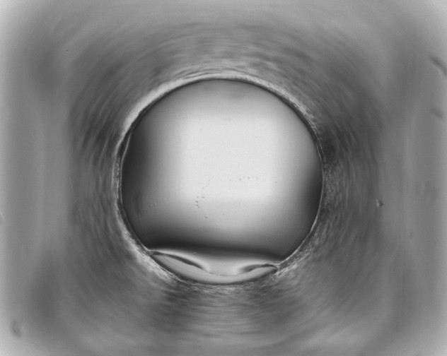 X0000098081526200804181146