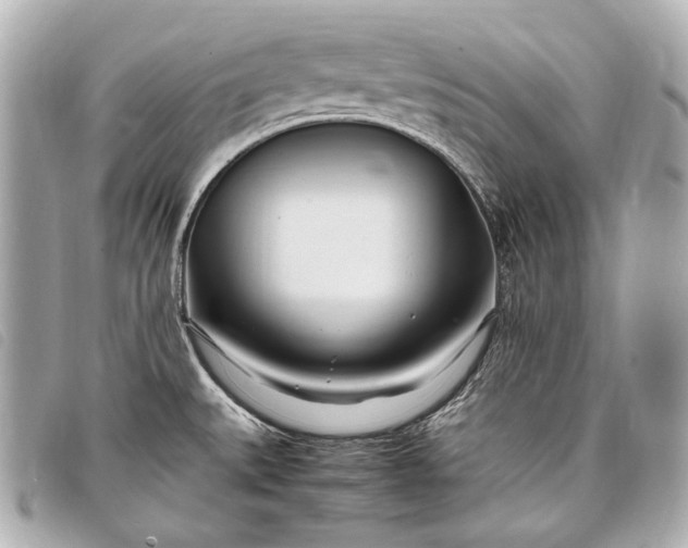 X0000098081527200804181146