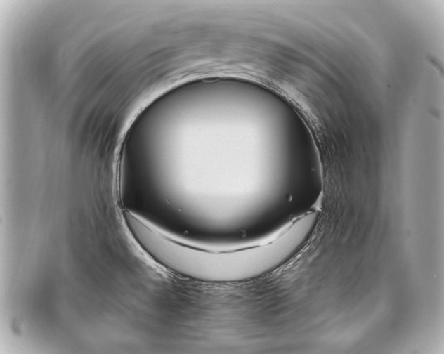 X0000098081528200804181146