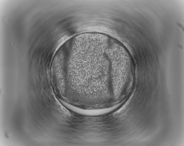 X0000098081529200804181146