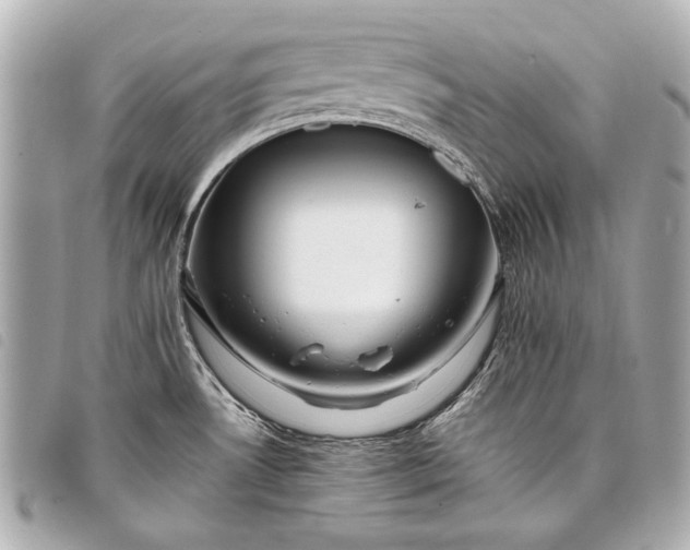 X0000098081530200804181146