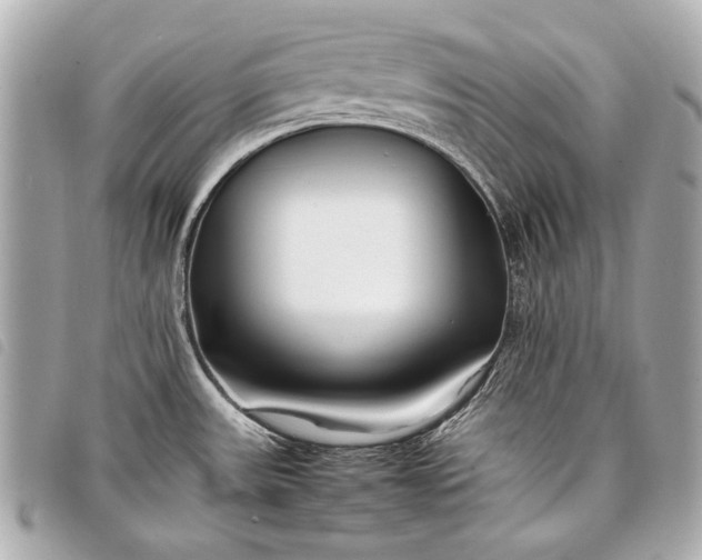 X0000098081531200804181146