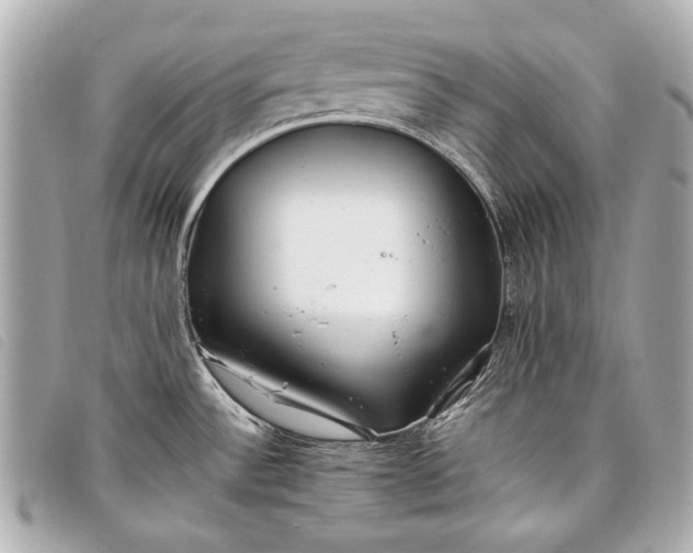 X0000098081532200804181146