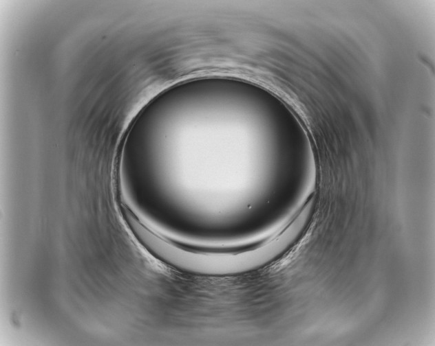 X0000098081533200804181146