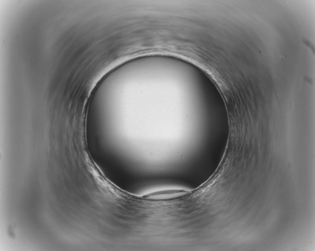 X0000098081534200804181146