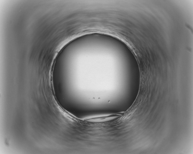 X0000098081535200804181146