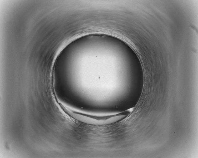 X0000098081536200804181146