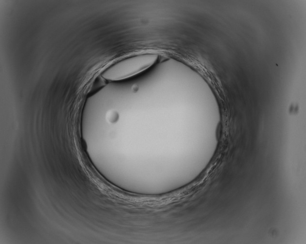 X0000098080001200804251524