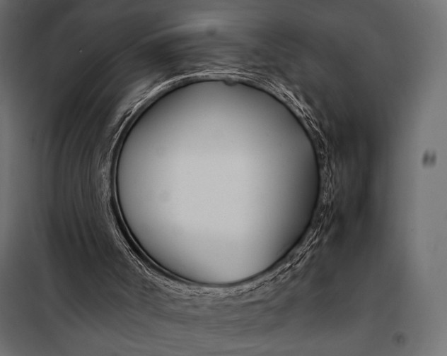 X0000098080002200804251524