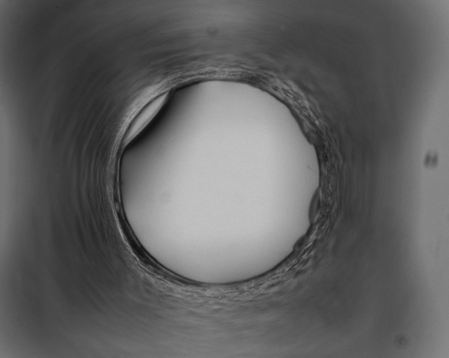 X0000098080003200804251524