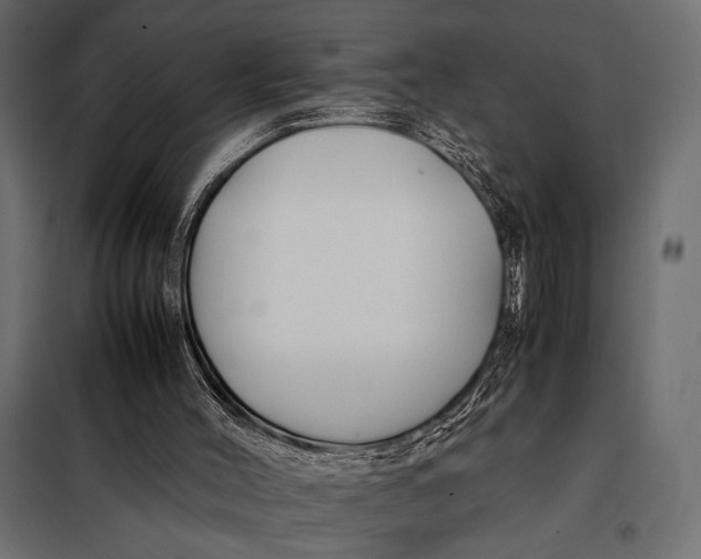 X0000098080004200804251524