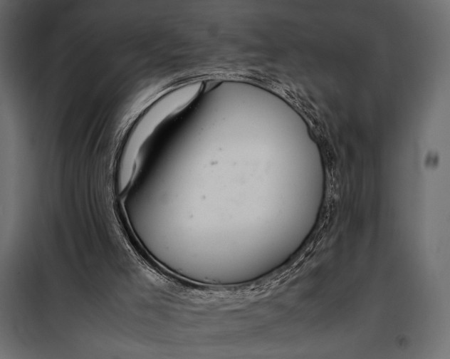 X0000098080005200804251524