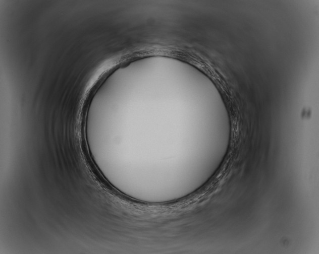 X0000098080006200804251524