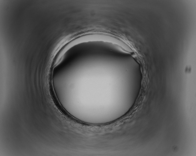 X0000098080007200804251524