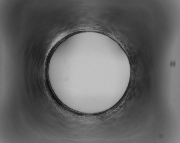 X0000098080008200804251524