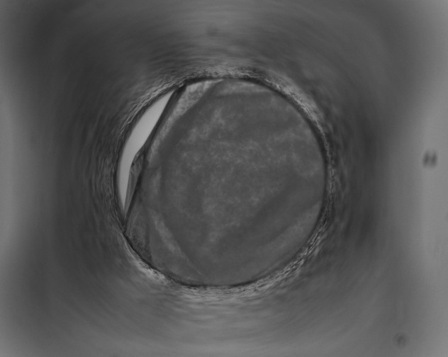 X0000098080009200804251524