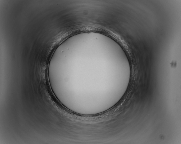 X0000098080010200804251524