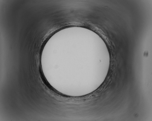 X0000098080011200804251524