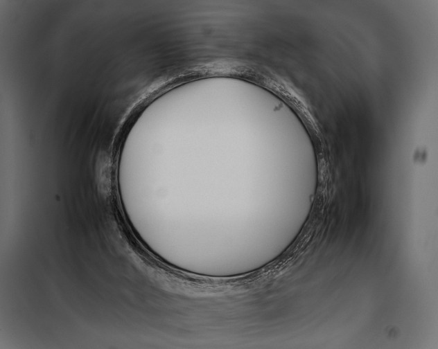 X0000098080012200804251524