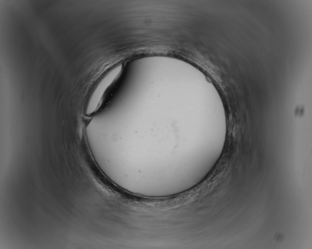 X0000098080013200804251524