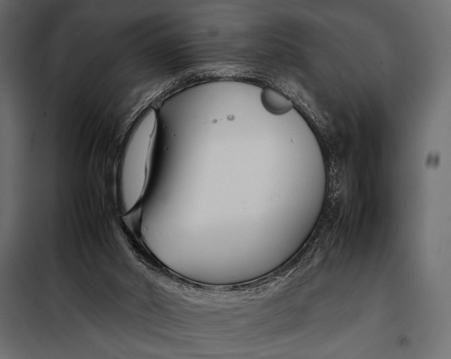 X0000098080014200804251524