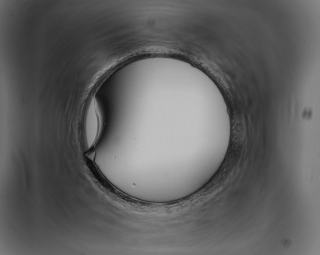 X0000098080015200804251524