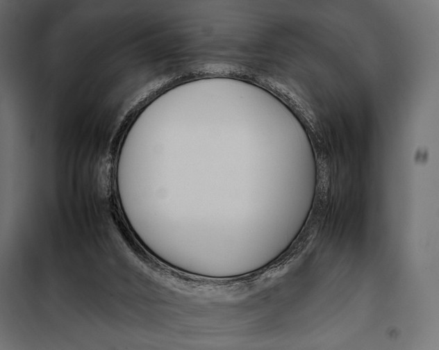 X0000098080016200804251524