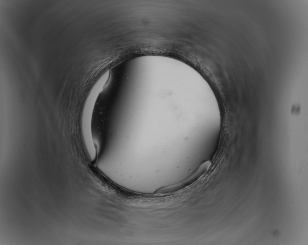 X0000098080017200804251524