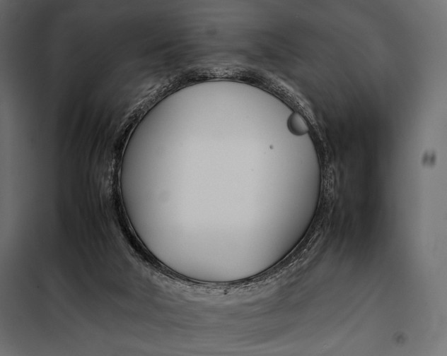 X0000098080018200804251524