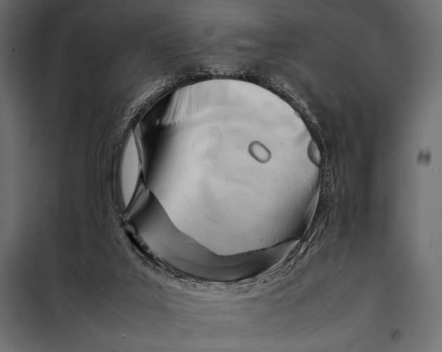 X0000098080019200804251524