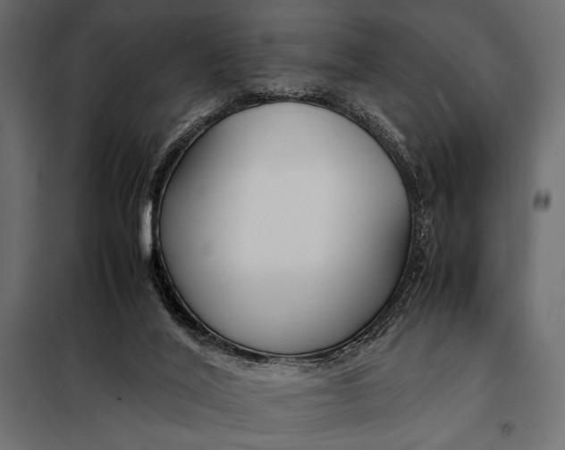 X0000098080020200804251524