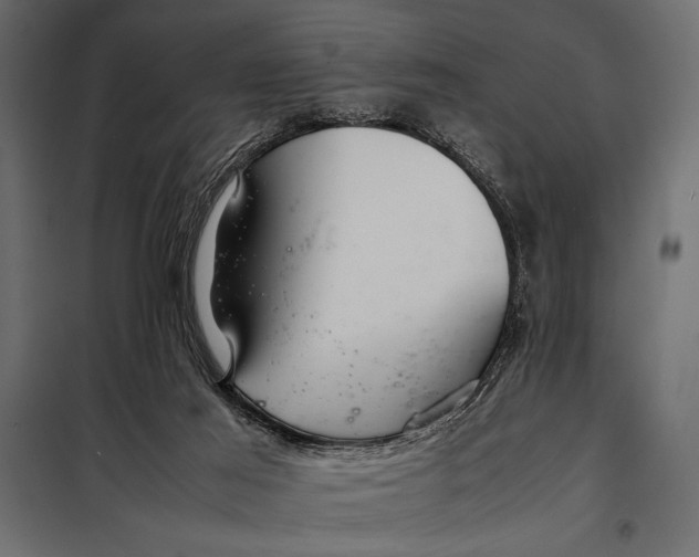 X0000098080021200804251524