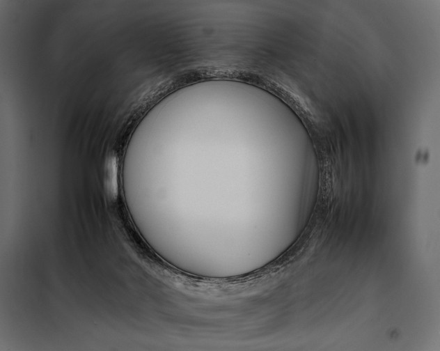 X0000098080022200804251524