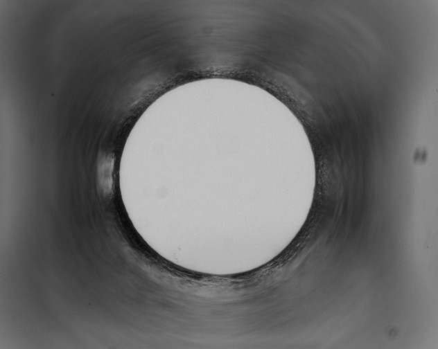 X0000098080024200804251524