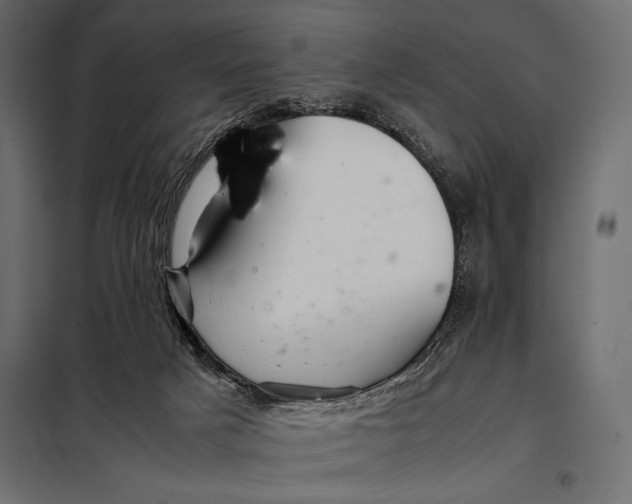 X0000098080025200804251524