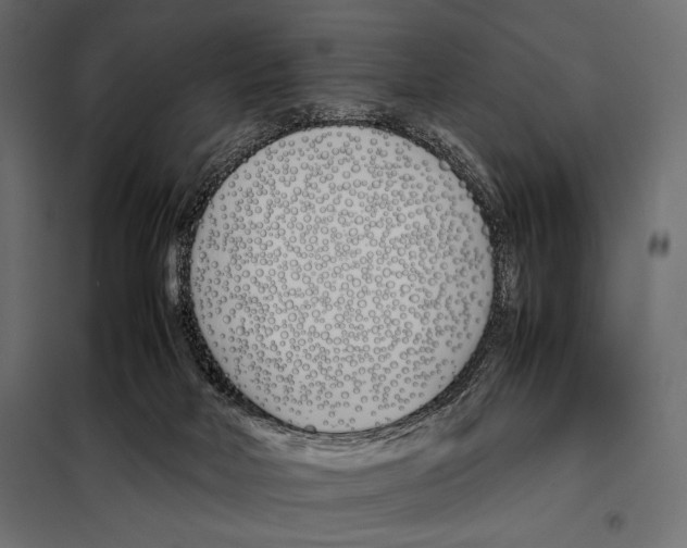 X0000098080026200804251524