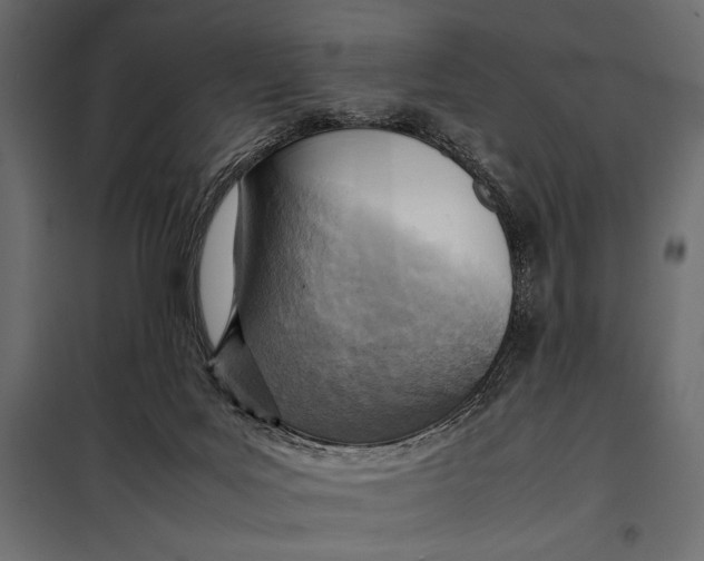 X0000098080027200804251524