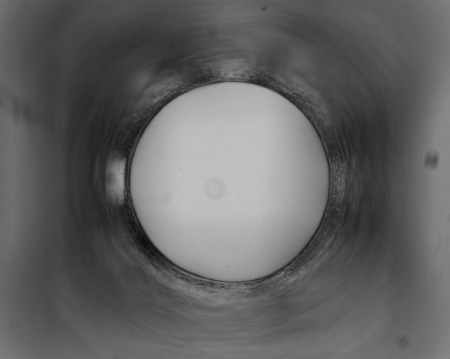 X0000098080028200804251524