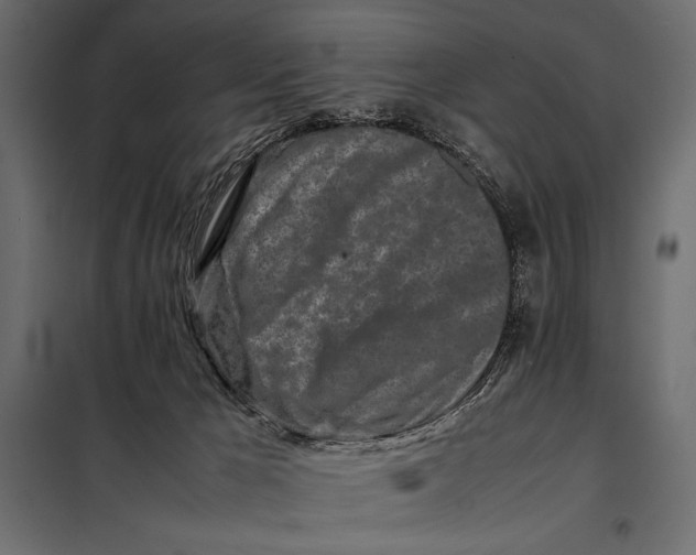 X0000098080029200804251524