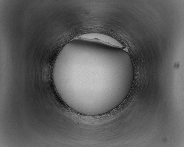 X0000098080030200804251524