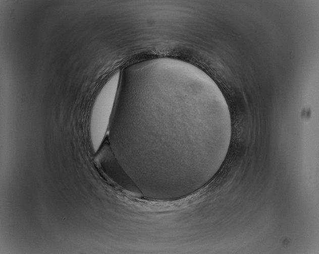 X0000098080031200804251523