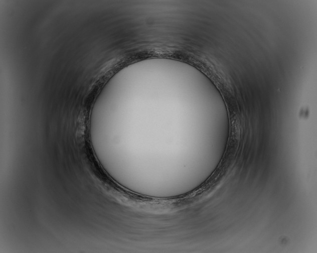 X0000098080032200804251523