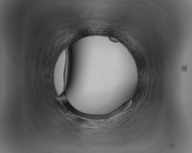 X0000098080033200804251523