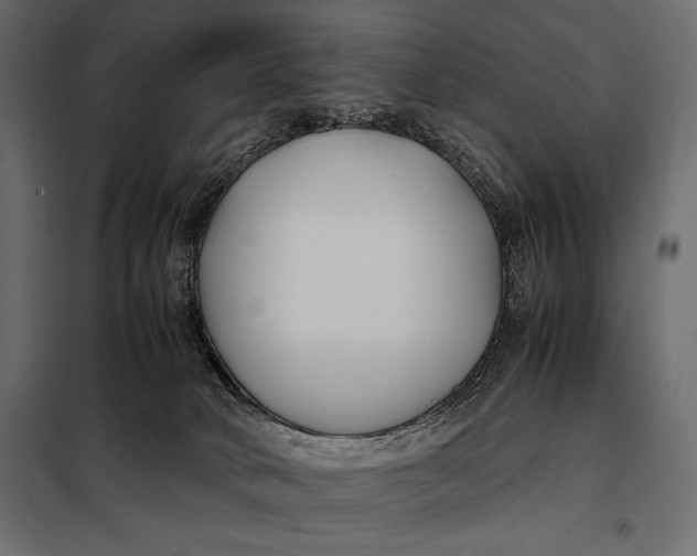 X0000098080034200804251523